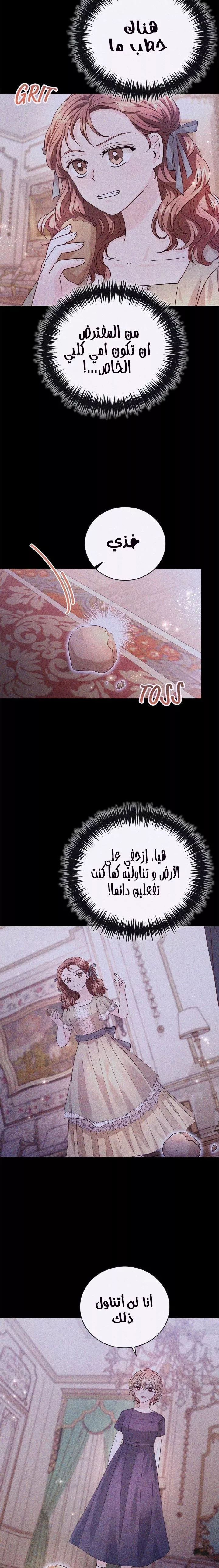 الصفحة 20