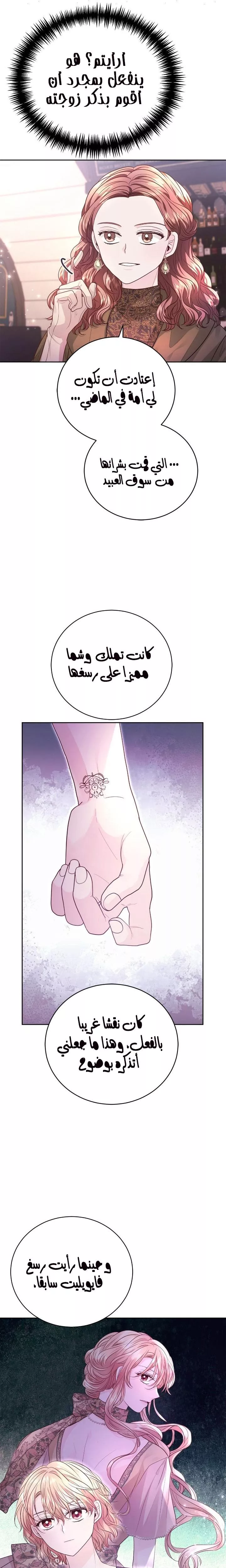 الصفحة 27