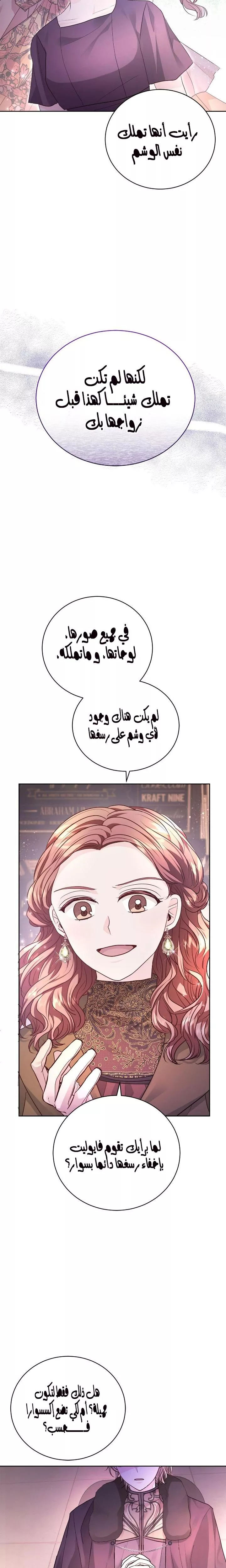 الصفحة 28