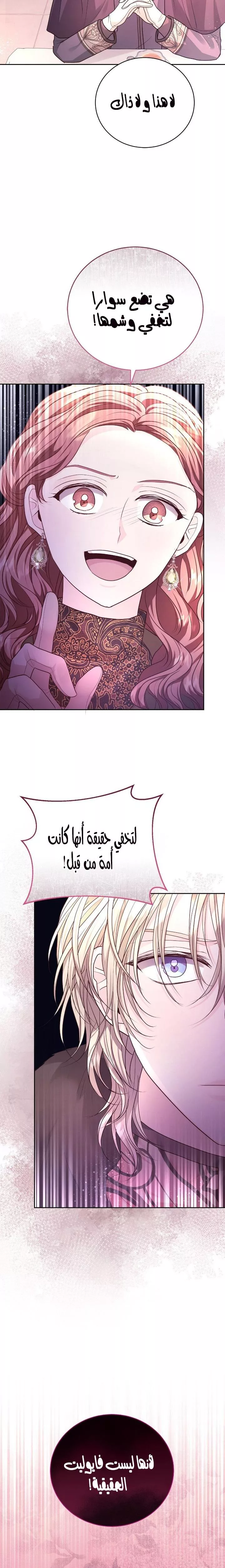 الصفحة 29