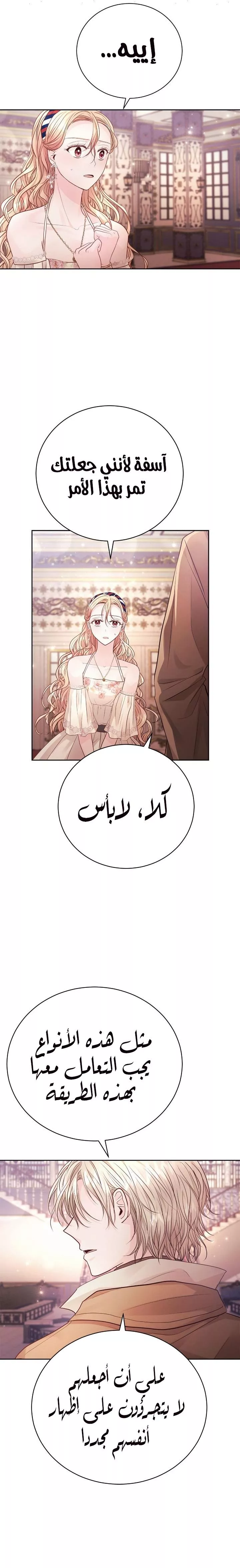 الصفحة 17