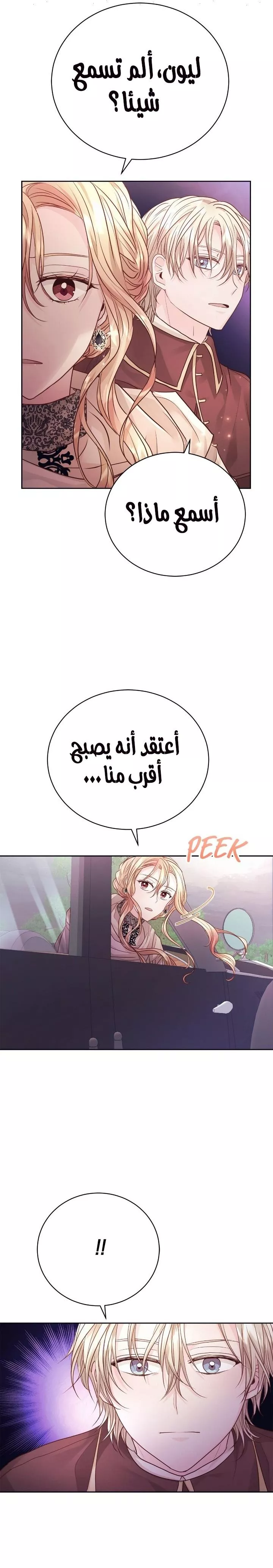 الصفحة 26