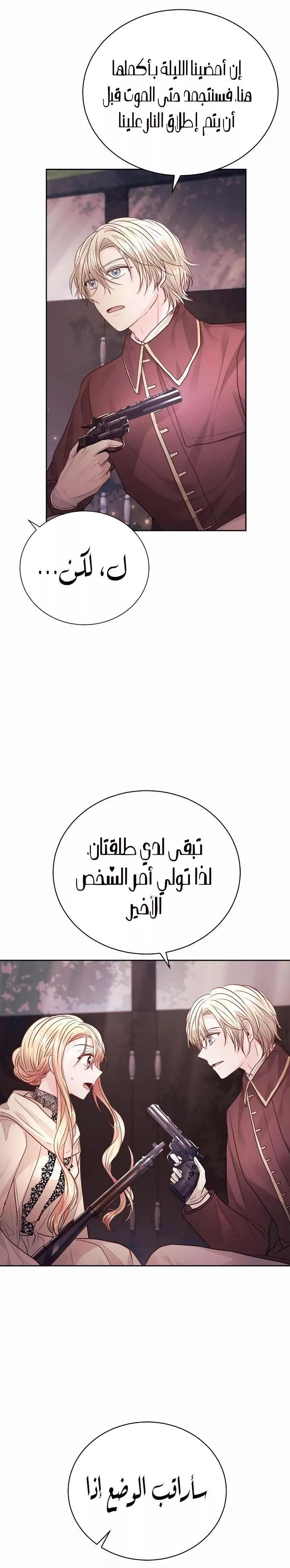 الصفحة 17