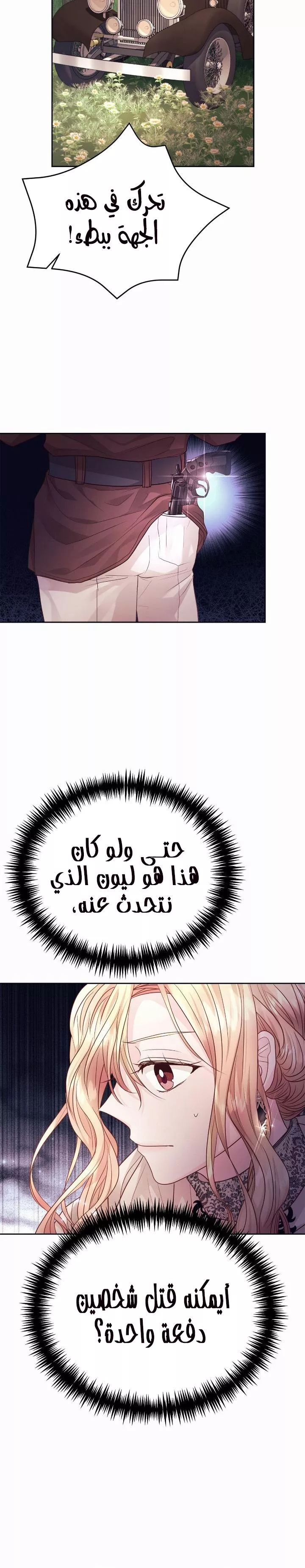 الصفحة 19