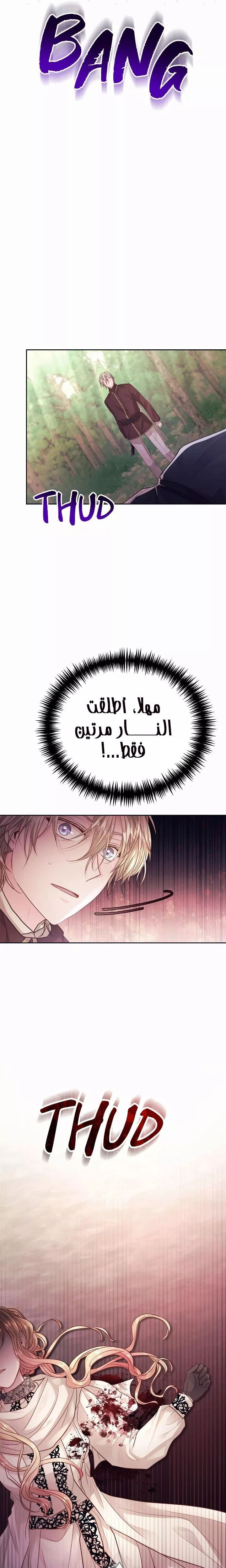 الصفحة 24