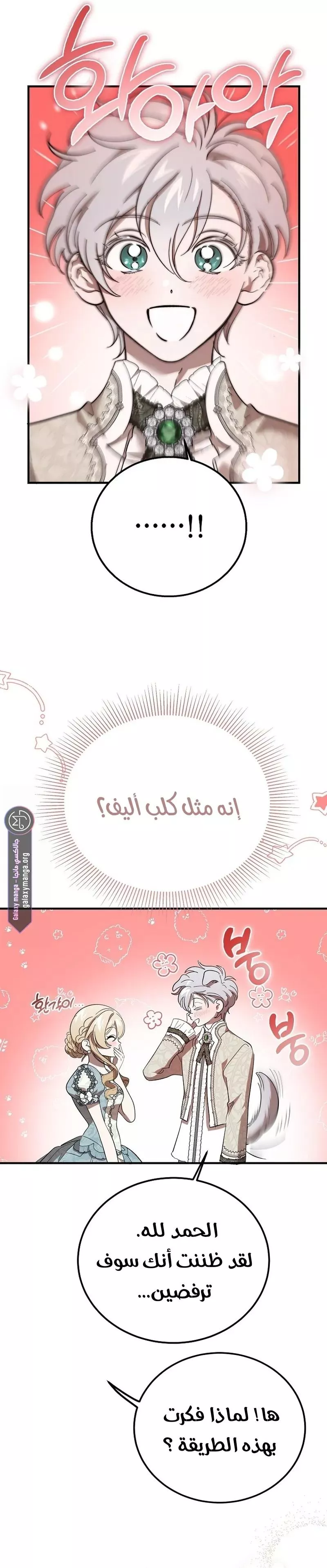 الصفحة 8