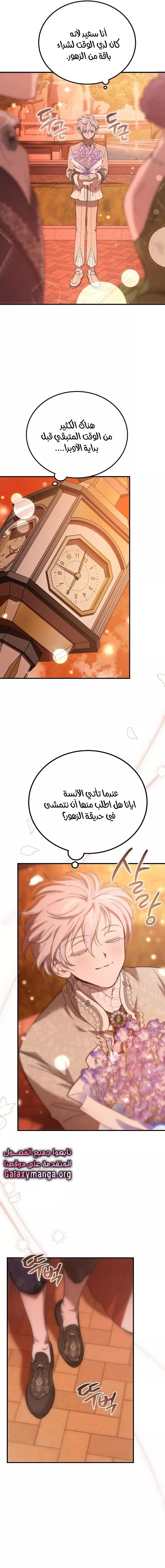 الصفحة 17