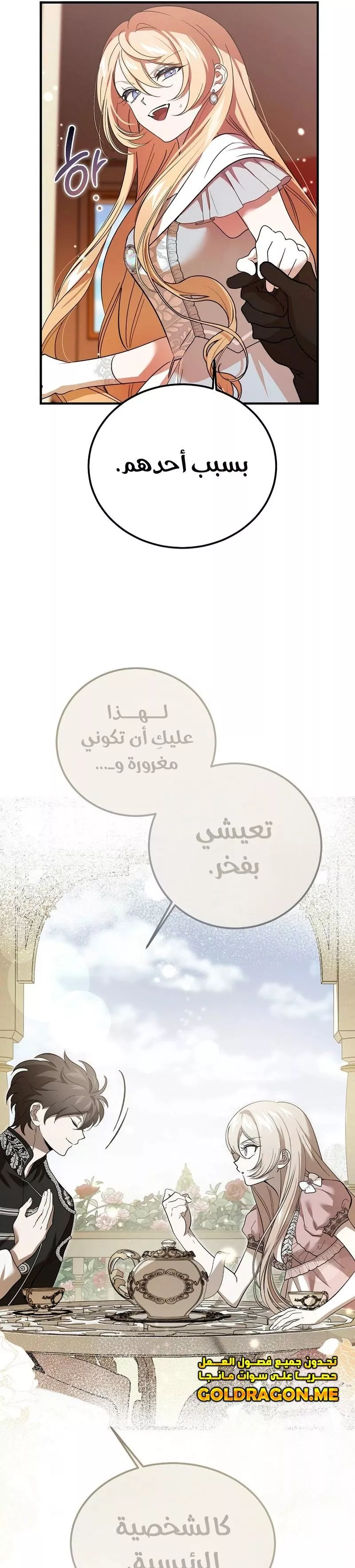 الصفحة 13