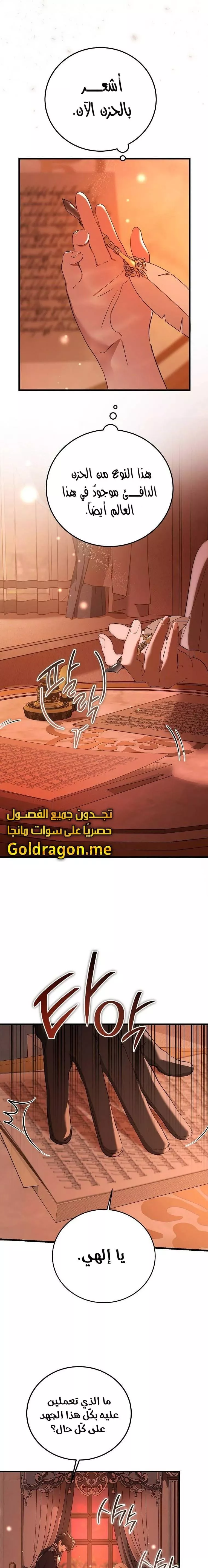 الصفحة 14