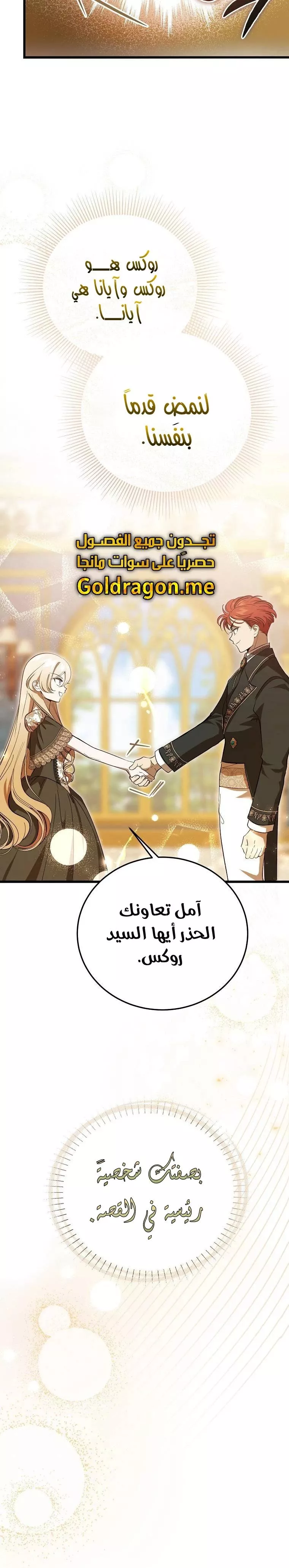 الصفحة 17