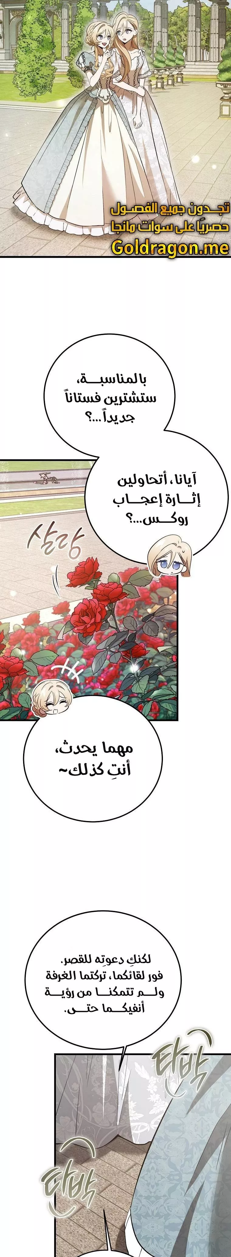 الصفحة 20