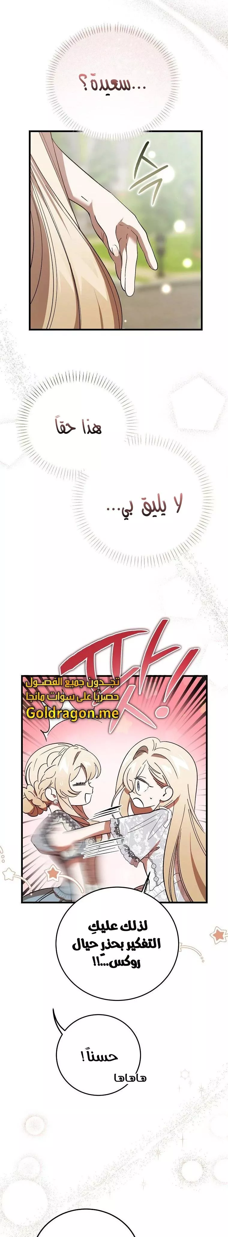 الصفحة 26