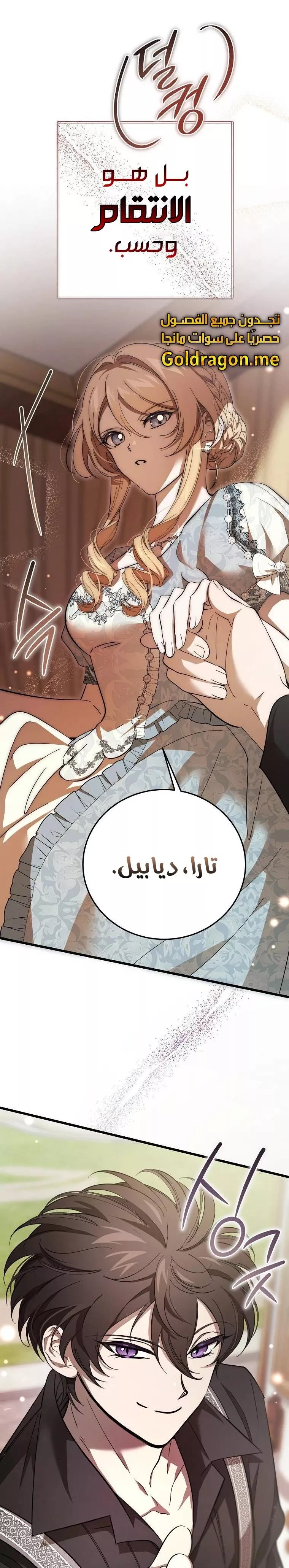 الصفحة 28