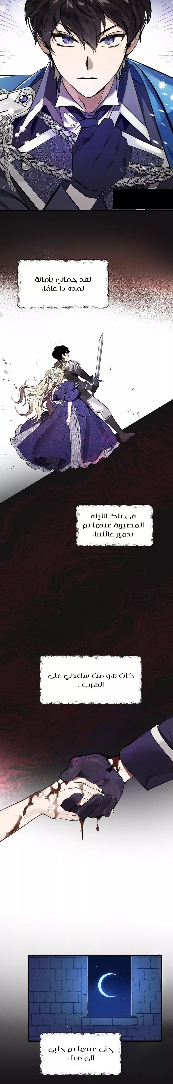 الصفحة 12