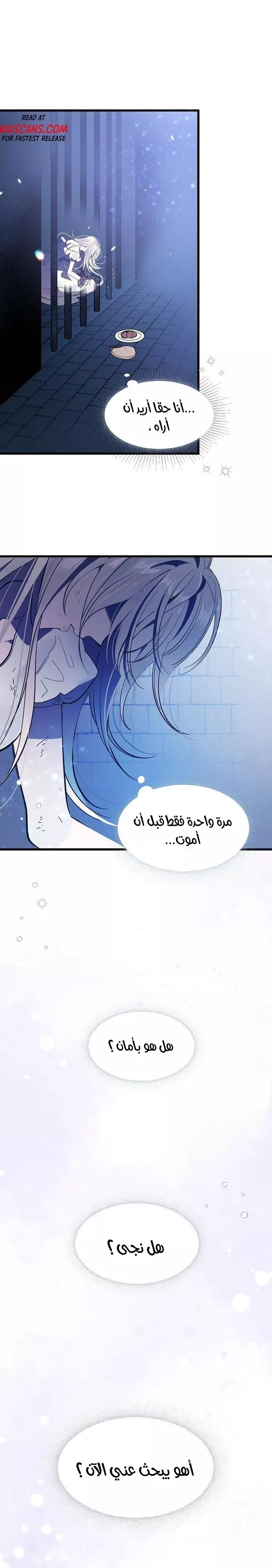 الصفحة 16
