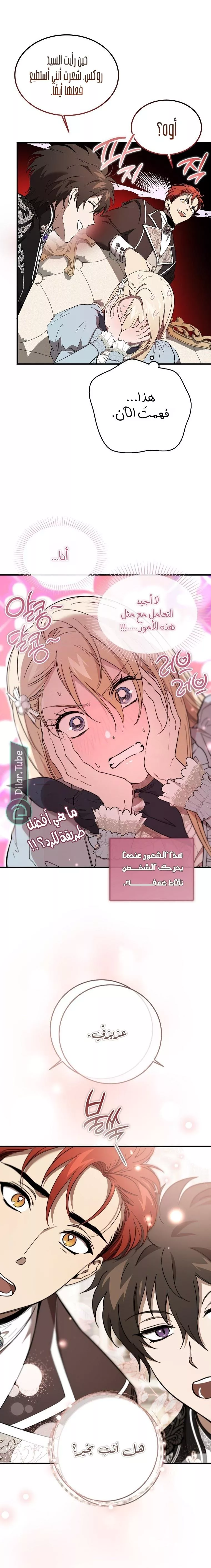 الصفحة 11