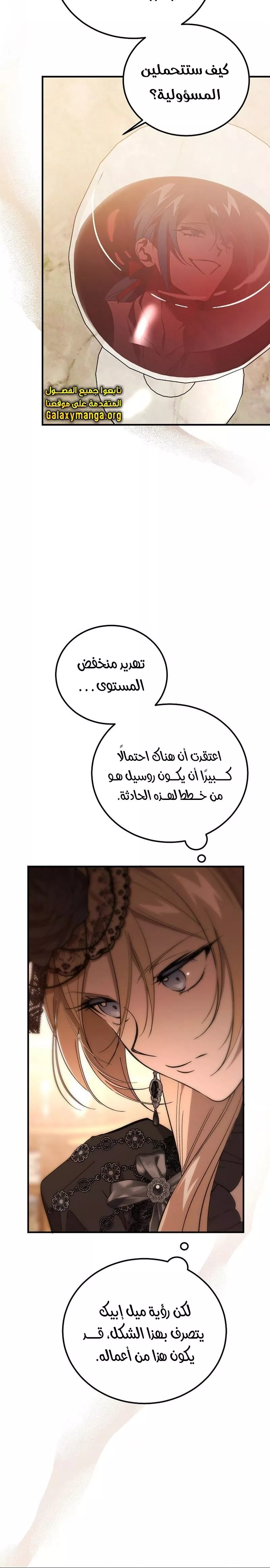 الصفحة 25