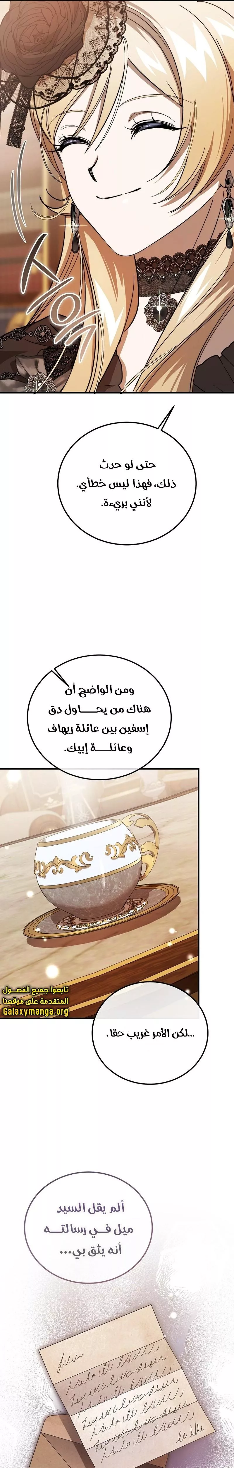 الصفحة 26