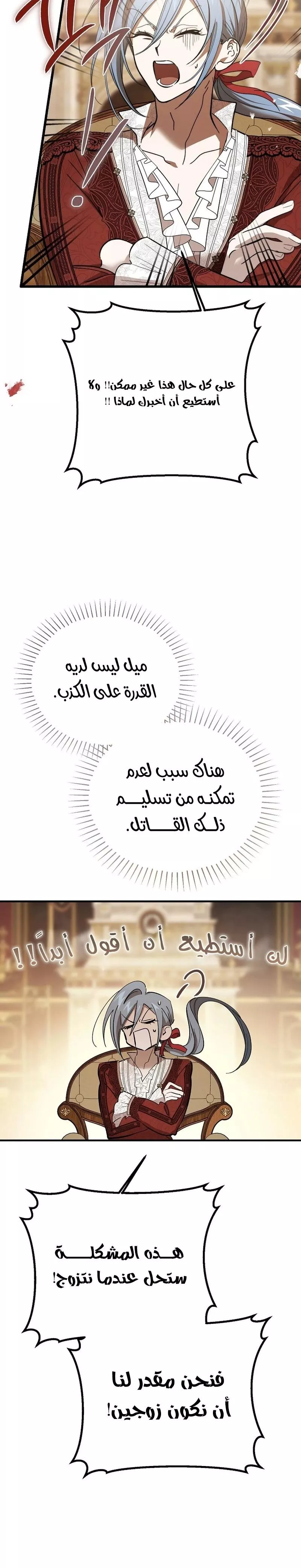 الصفحة 29