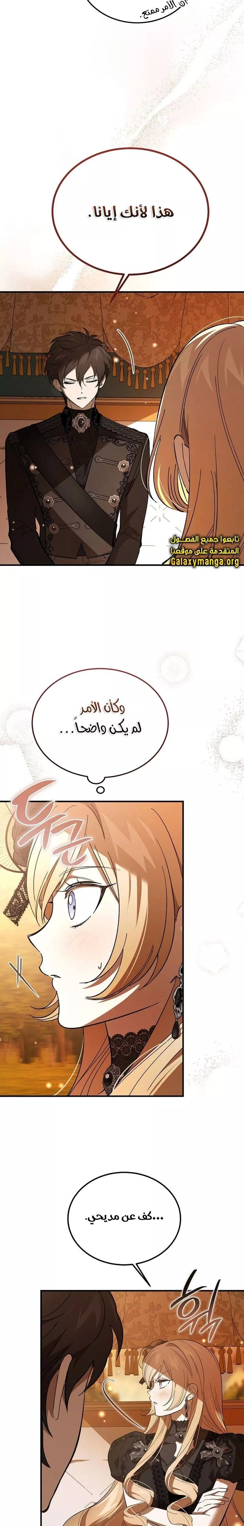 الصفحة 17