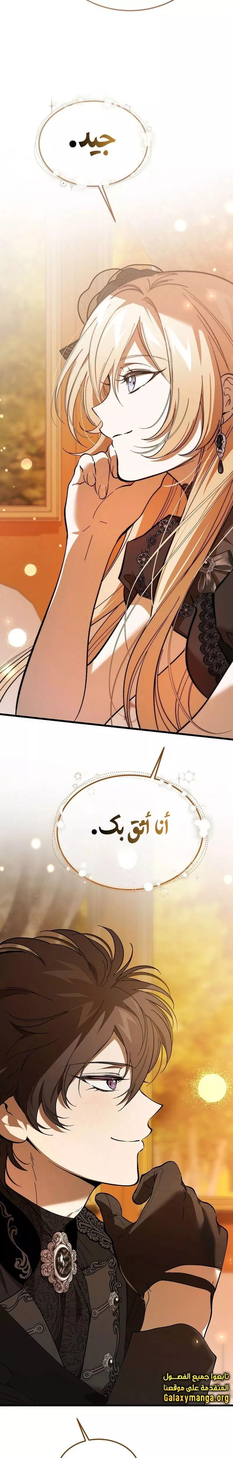 الصفحة 25