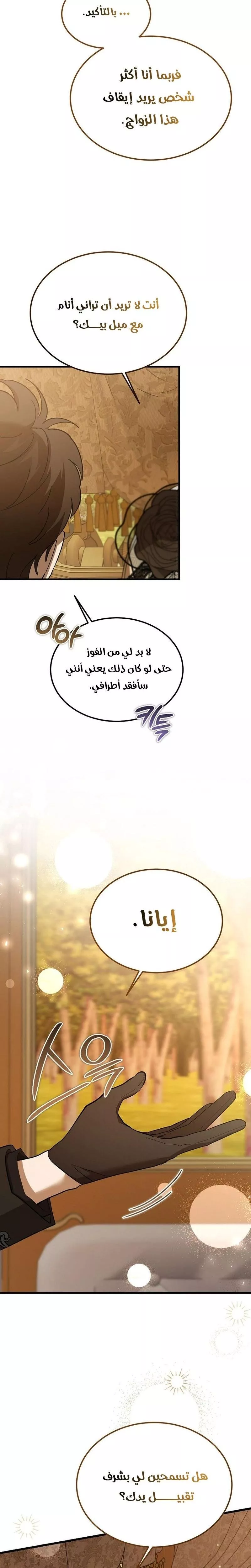 الصفحة 26