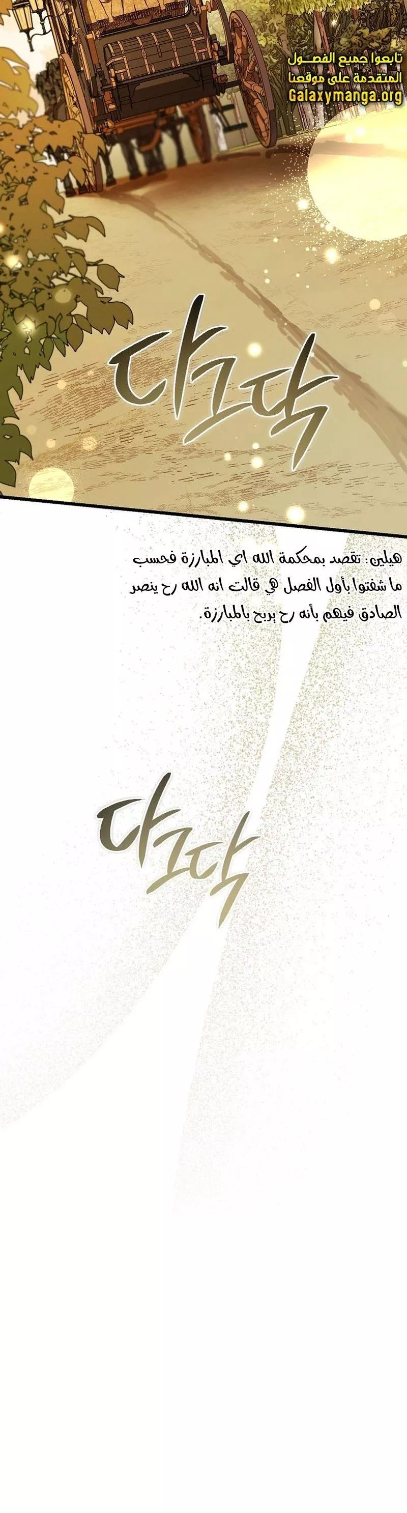 الصفحة 29