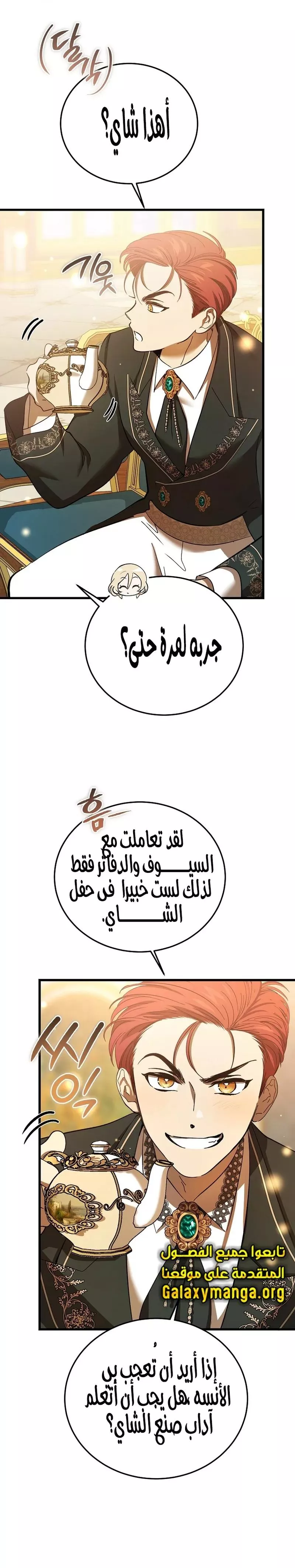 الصفحة 13