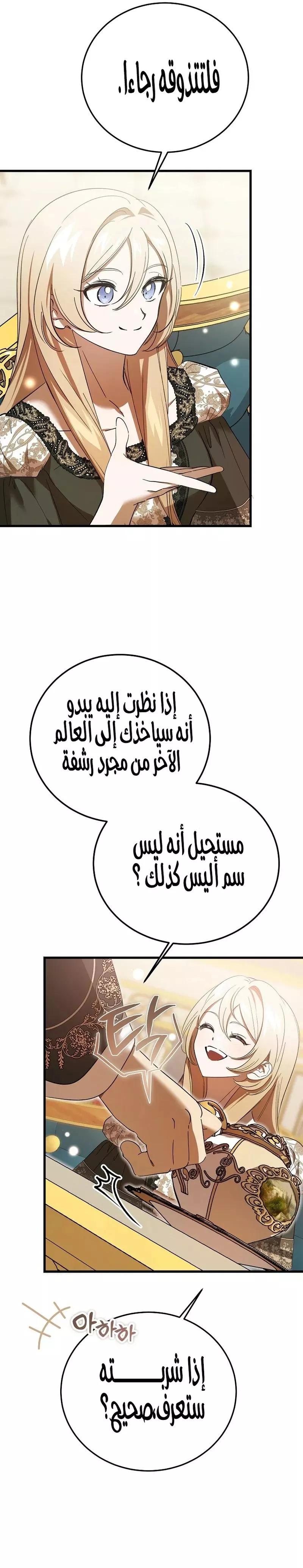 الصفحة 17