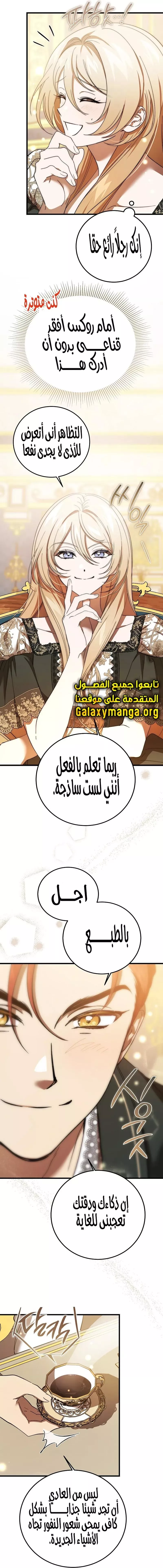 الصفحة 27