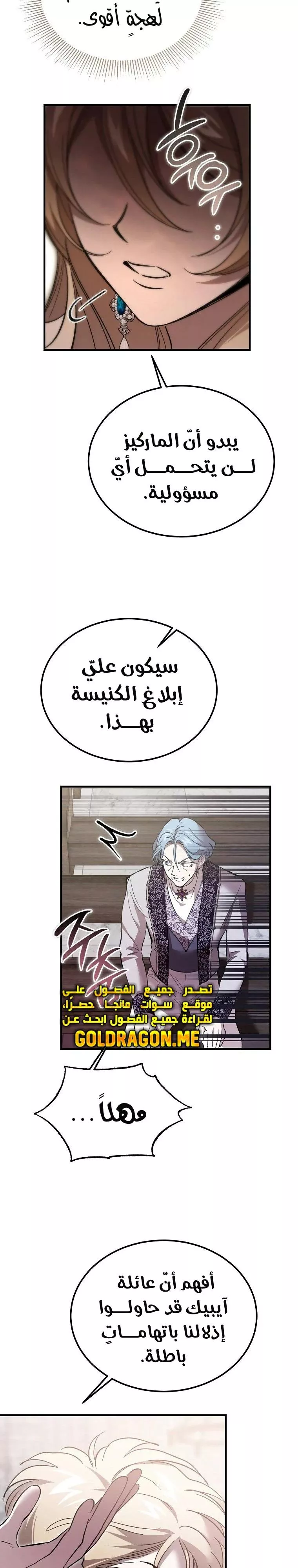 الصفحة 25