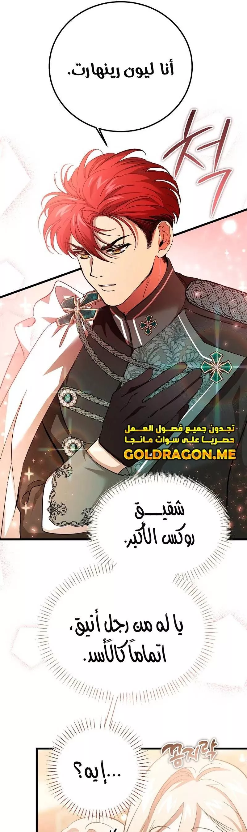 الصفحة 29
