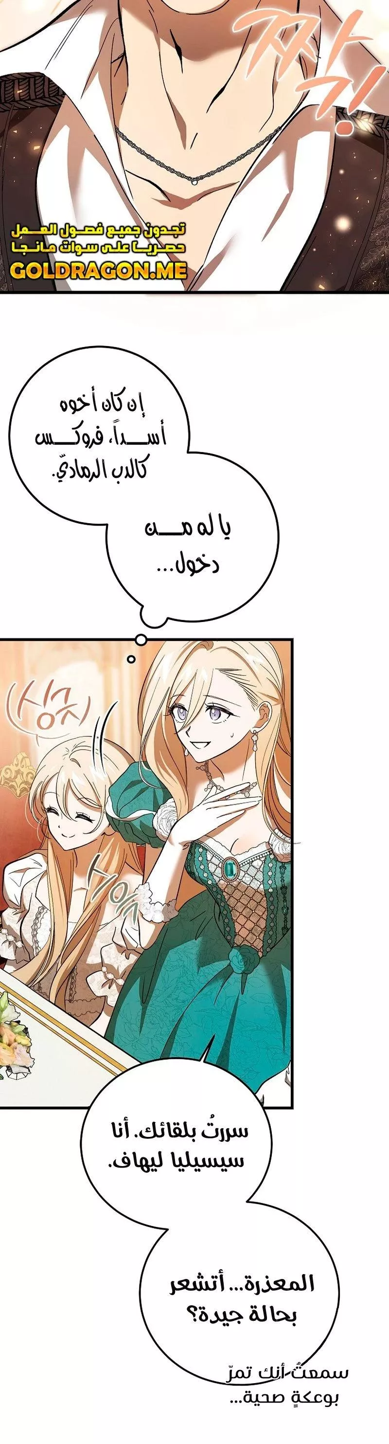 الصفحة 40