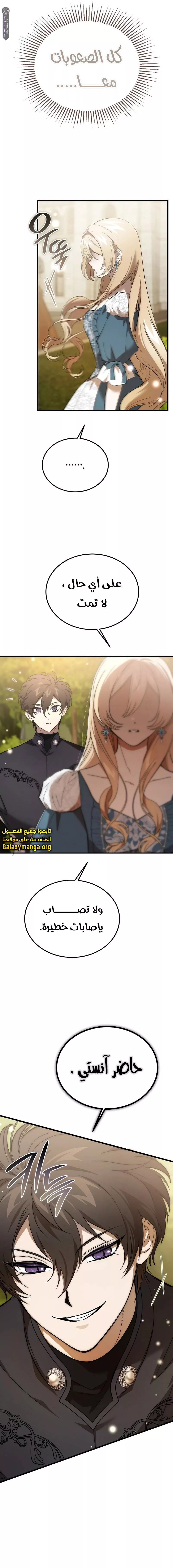 الصفحة 17