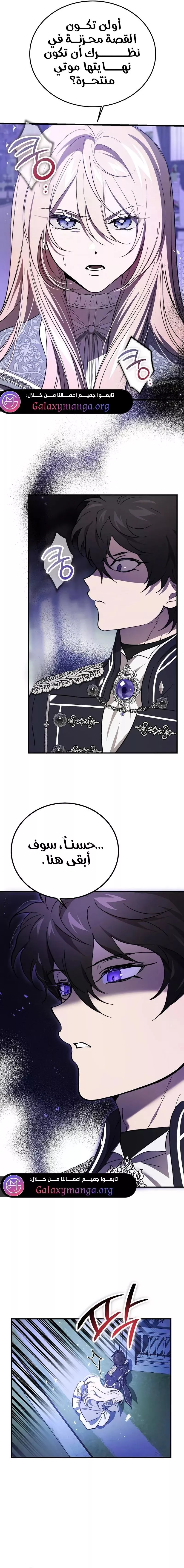 الصفحة 17