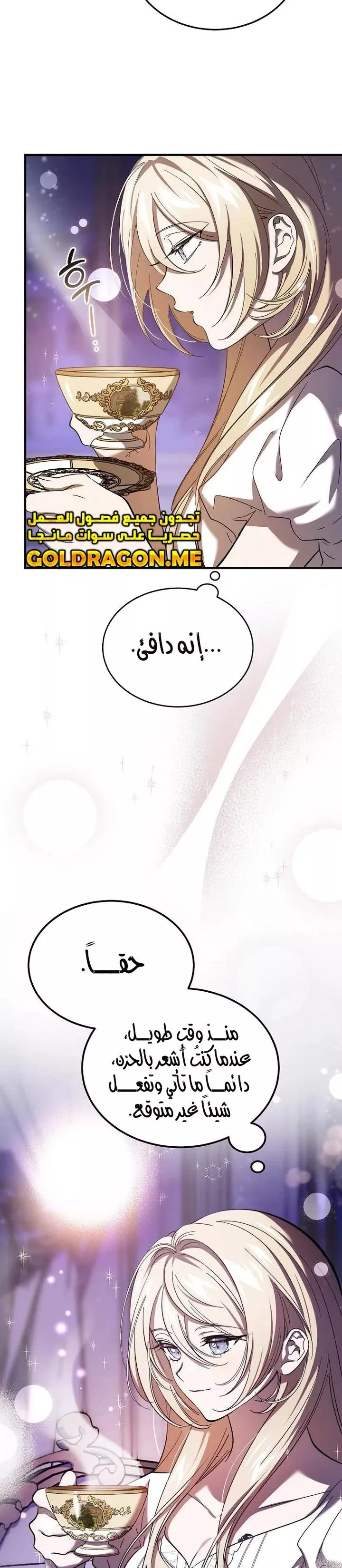 الصفحة 26