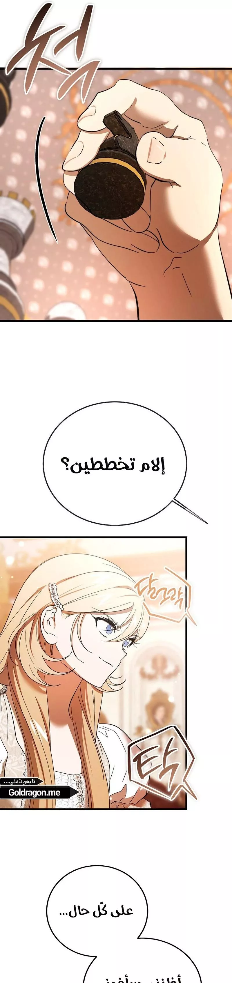 الصفحة 16