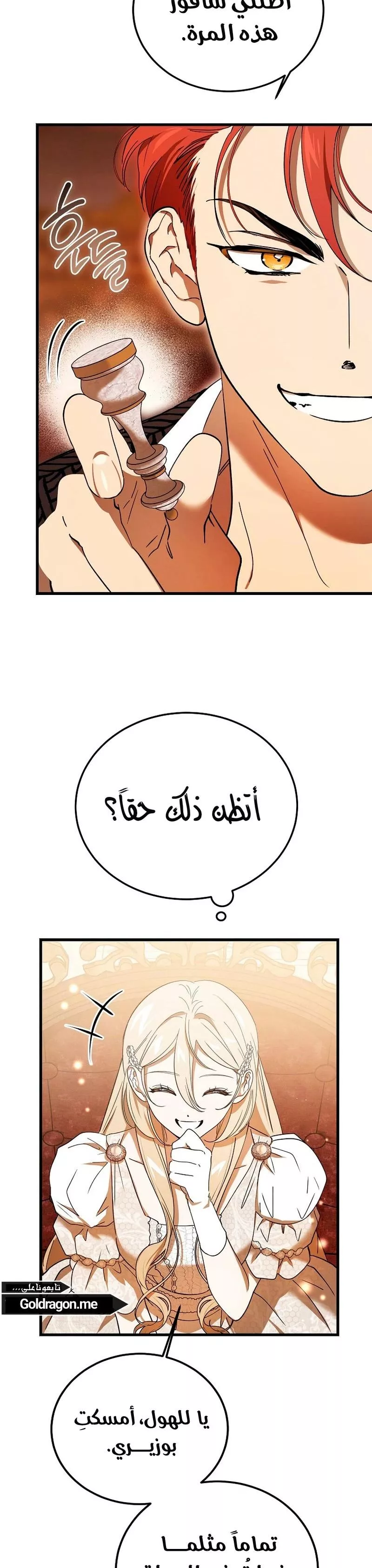 الصفحة 17