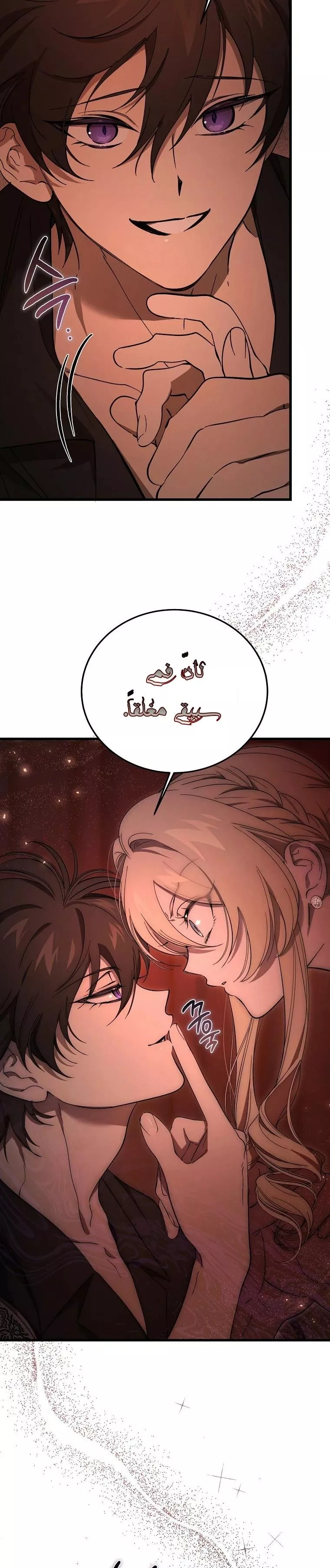 الصفحة 19