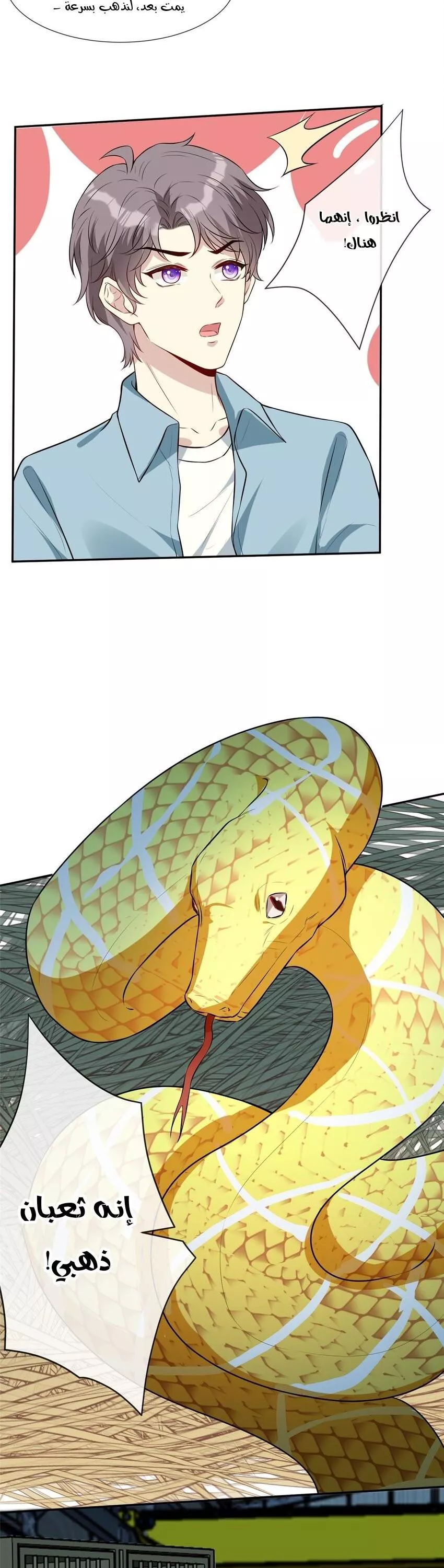 الصفحة 5