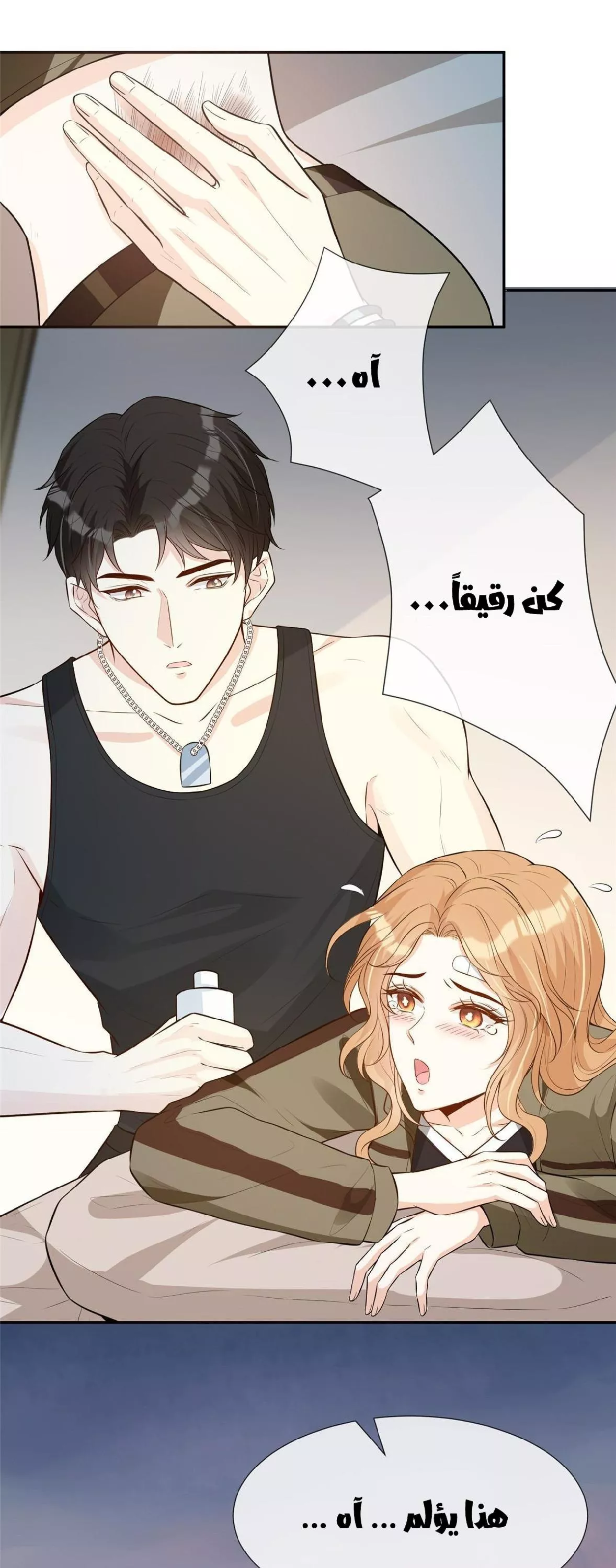 الصفحة 19