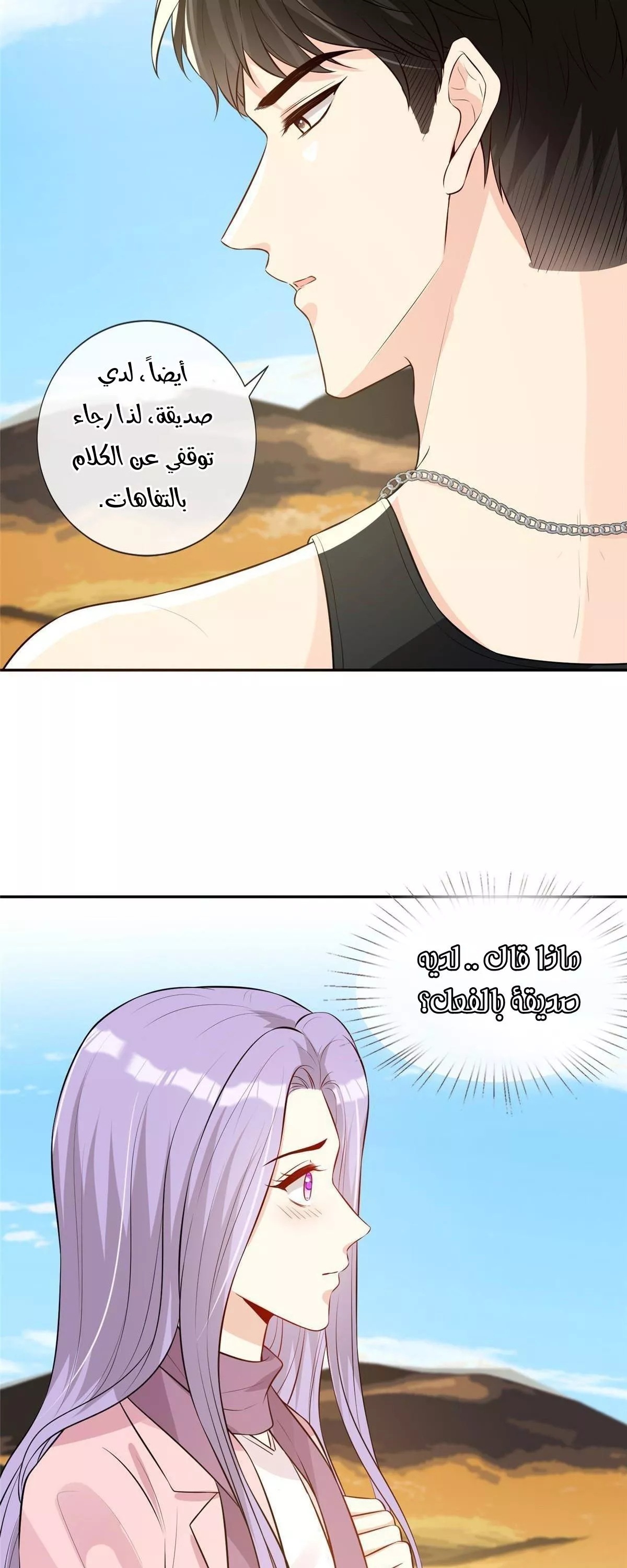 الصفحة 13