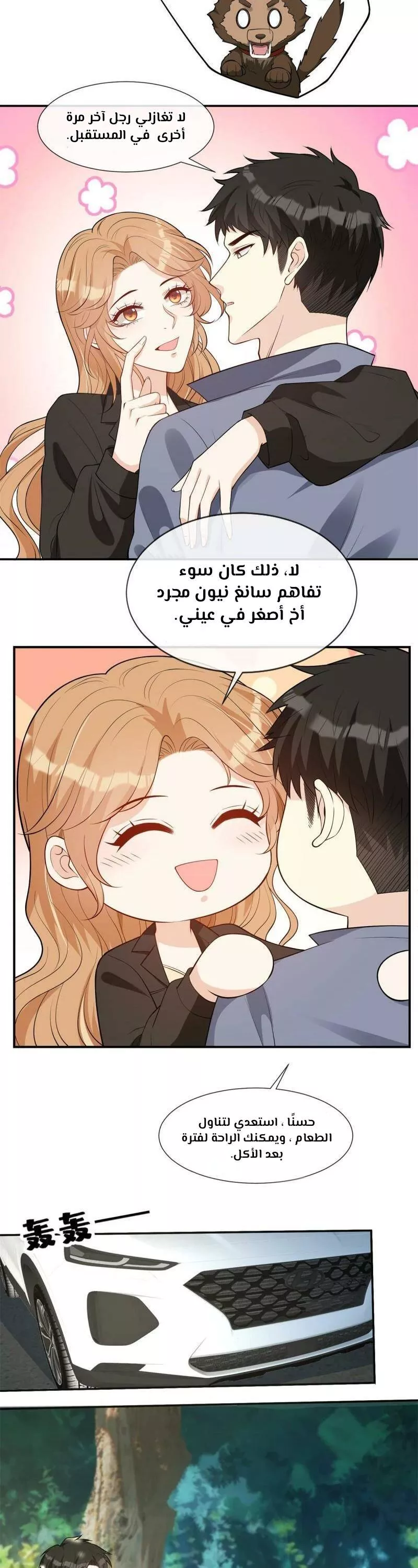 الصفحة 13