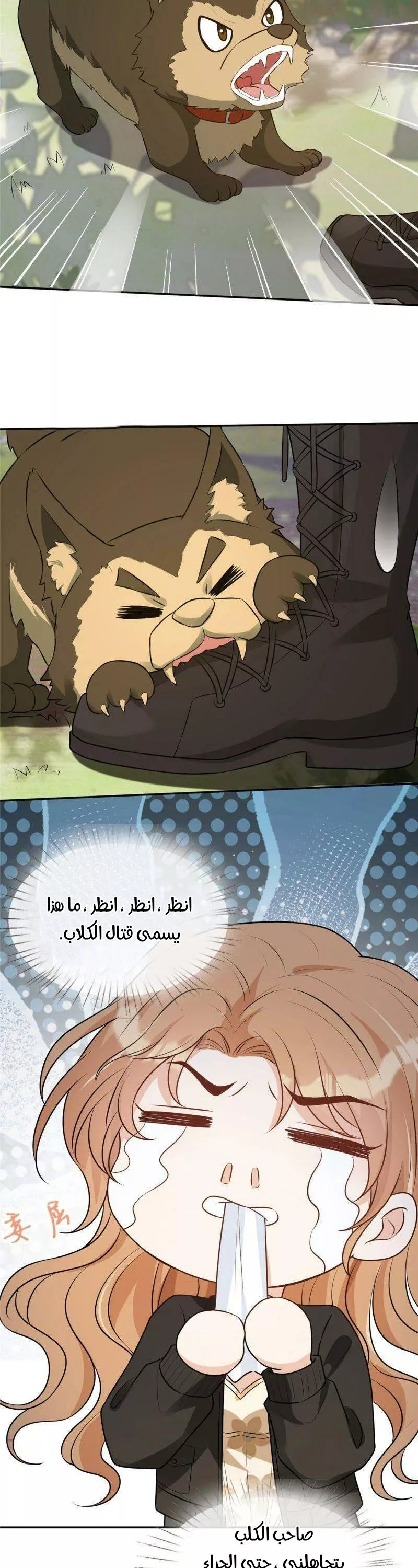 الصفحة 9