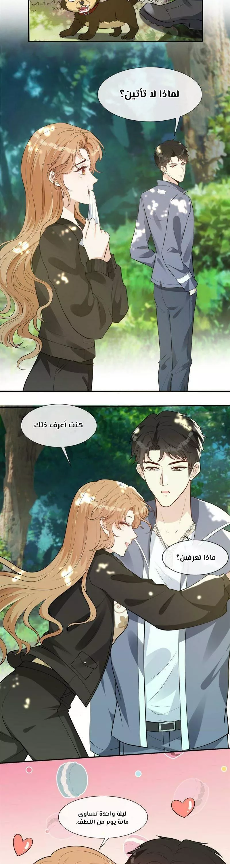 الصفحة 11