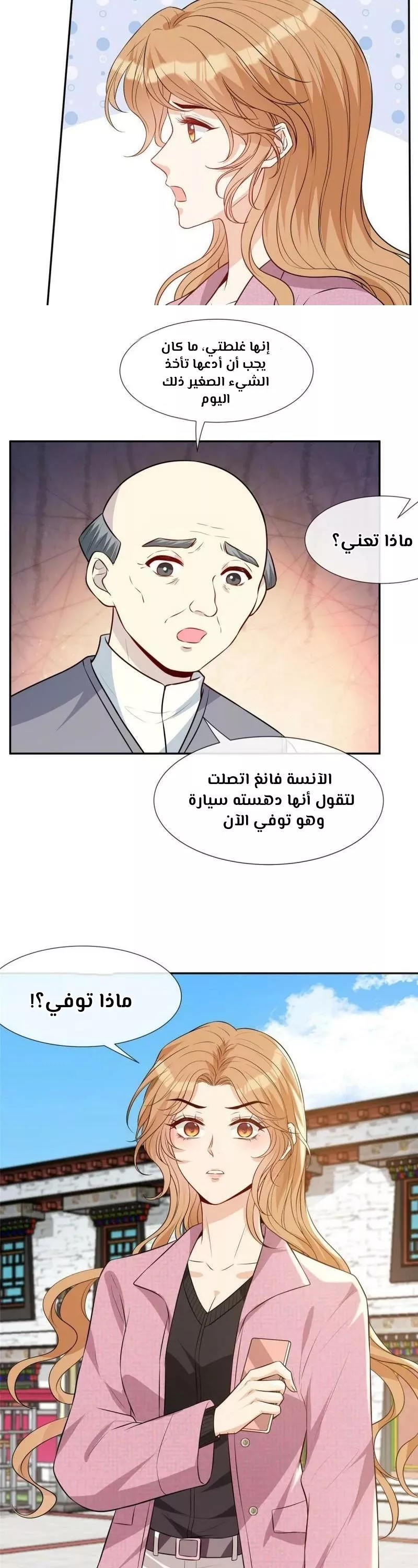 الصفحة 17