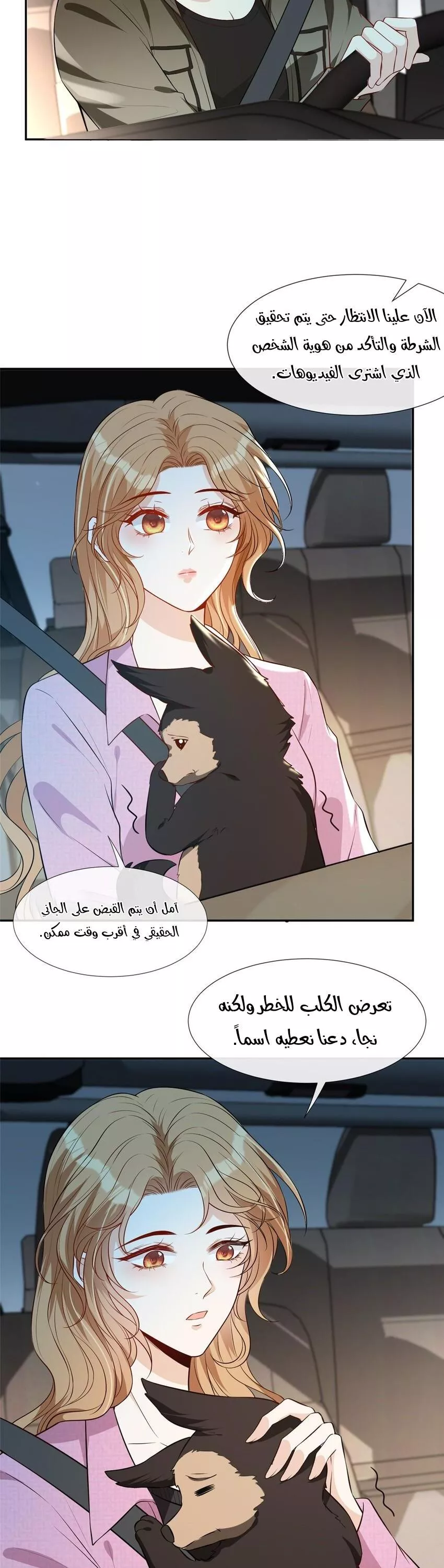 الصفحة 3