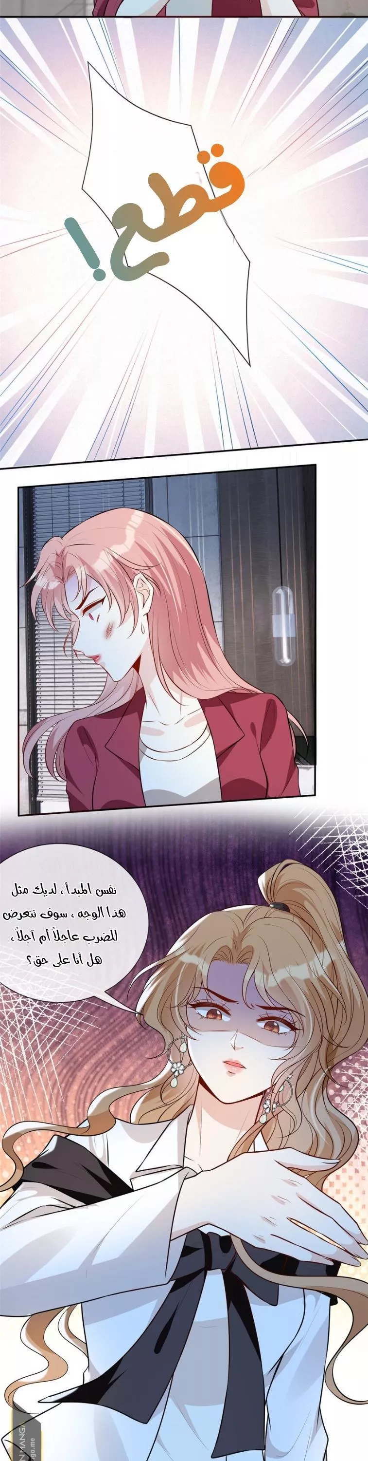 الصفحة 21