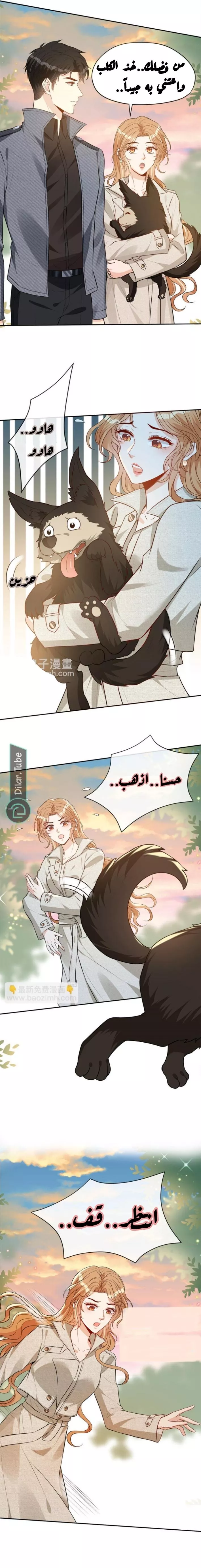 الصفحة 3