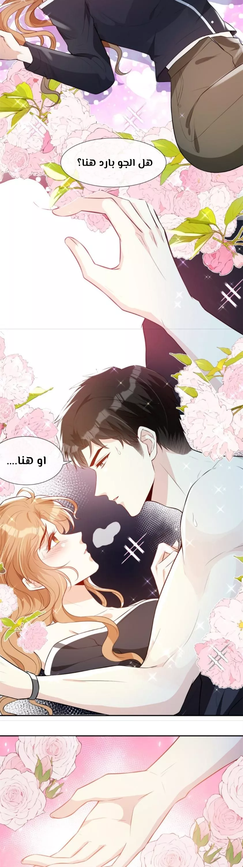 الصفحة 6